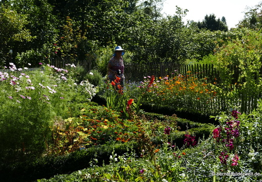 17-07-18-duesseldorf-botanischer garten-117