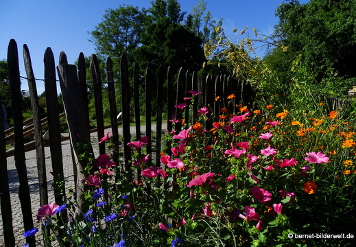 17-07-18-duesseldorf-botanischer garten-120