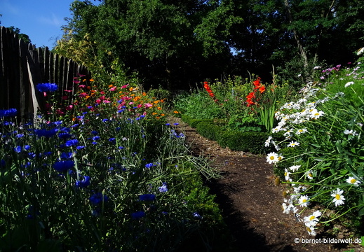 17-07-18-duesseldorf-botanischer garten-119
