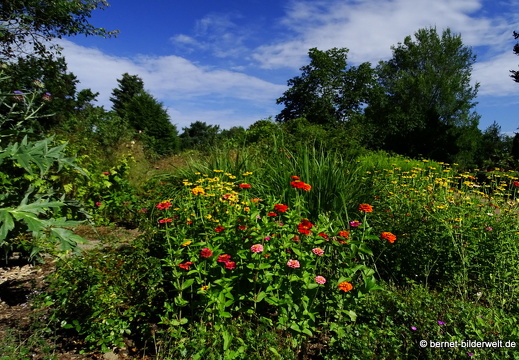 17-07-18-duesseldorf-botanischer garten-137