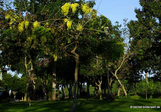 18-01-09-bentre-resortumgebung-sonnenuntergang-036