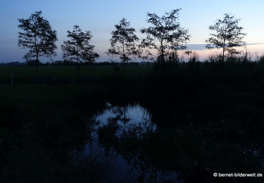 18-01-27-baclieu-sonnenaufgang-reisfelder-002