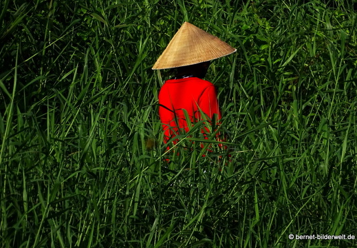 18-01-30-camau-am bach-002