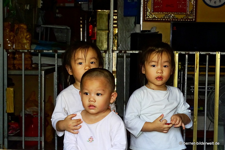 18-01-30-camau-am bach-046.JPG