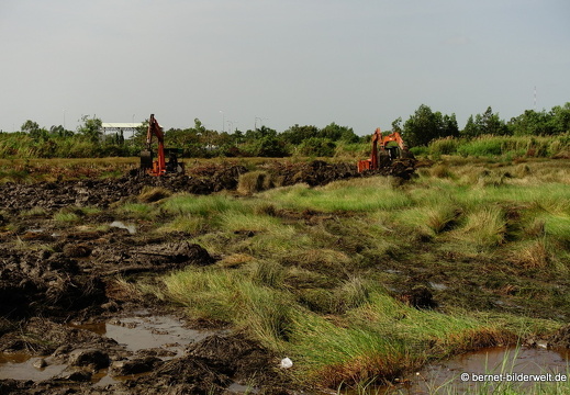 18-01-30-camau-moor wird zu bauland-009