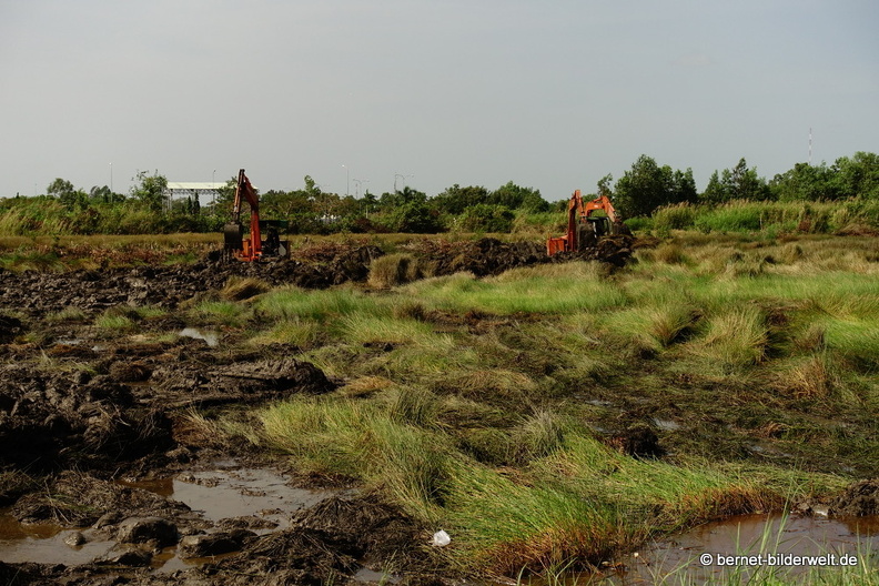 18-01-30-camau-moor wird zu bauland-009.JPG