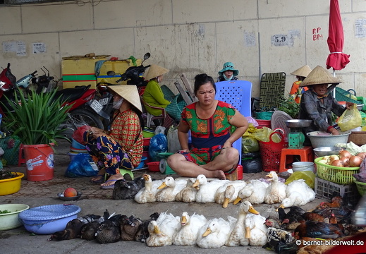 18-02-02-camau-Kênh Phụng Hiệp-markt-028