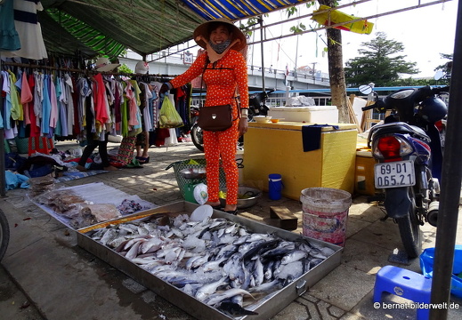 18-02-02-camau-Kênh Phụng Hiệp-markt-020
