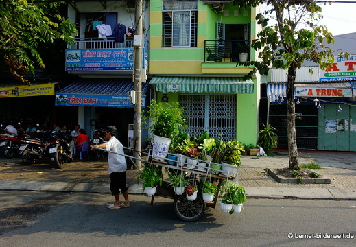 18-02-06-cantho-blumenverkauf-Hồ Xáng Thổi-009