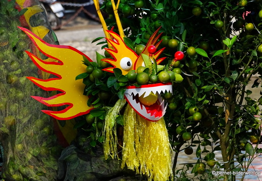 18-02-06-cantho-blumenverkauf-Hồ Xáng Thổi-005