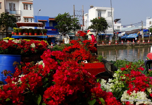 18-02-06-cantho-blumenverkauf-Hồ Xáng Thổi-022