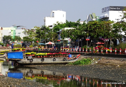 18-02-10-cantho-ho xang thoi-026