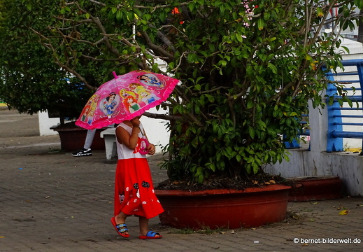 Vietnam, Mekongdelta 2018