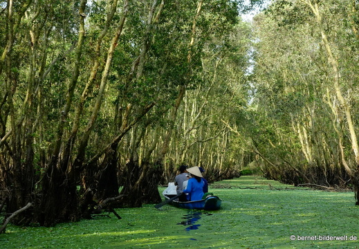 18-02-20-trasuforest-169