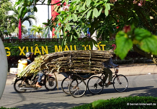 18-02-21-chaudoc-park-048