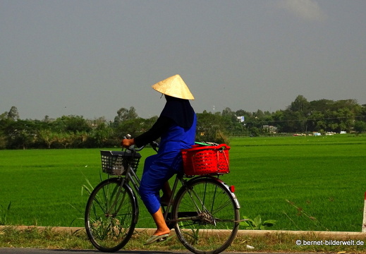 18-02-24-chaudoc-chaupong-156