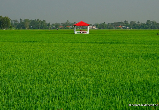 18-02-24-chaudoc-chaupong-reisfeld-007