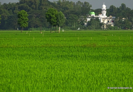18-02-24-chaudoc-chaupong-reisfeld-031
