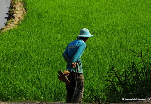 18-02-24-chaudoc-chaupong-reisfeld-064