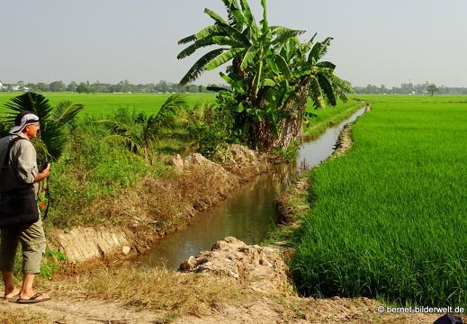 18-02-24-chaudoc-chaupong-reisfeld-068