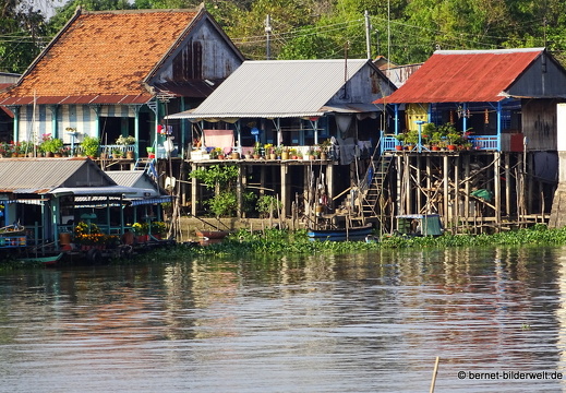 18-02-24-chaudoc-song hau-003