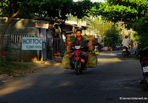 18-03-06-caibe-cau chua weg-mekongnebenfluss-024