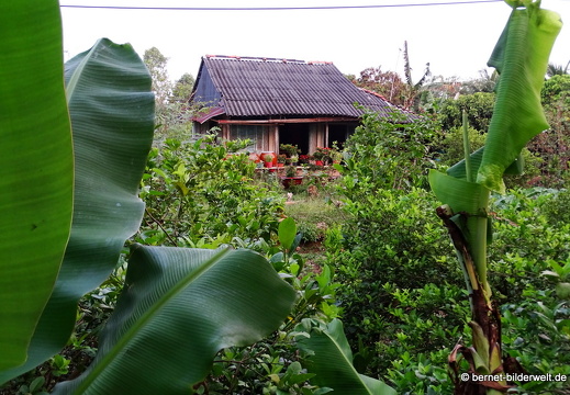 18-03-09-caibe-hoa hop weg-005