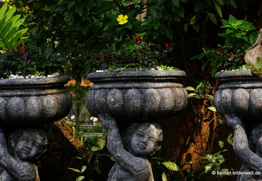 18-03-13-saigon-zoo-garten-017