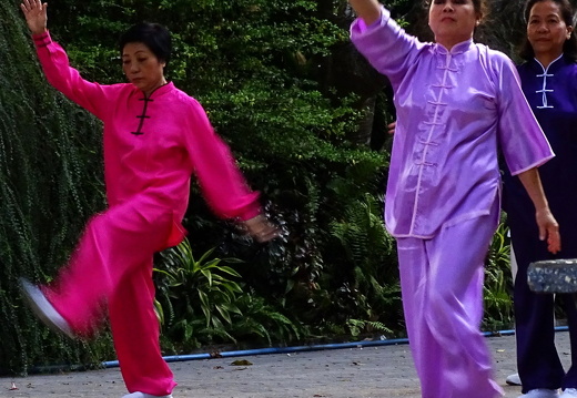 18-03-13-saigon-zoo-yoga-013