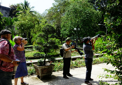 18-03-15-saigon-tao dan park-089