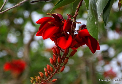 18-01-22-baclieu-newpalace-017