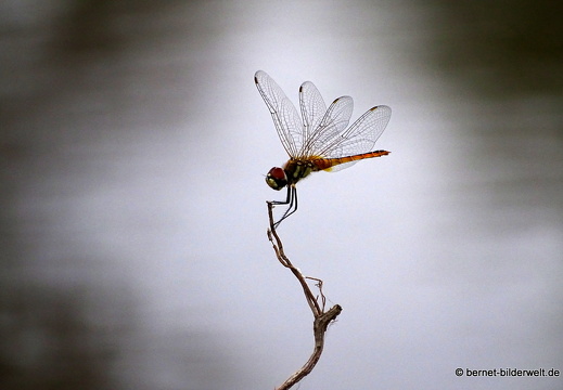 18-01-29-camau-bauprojekt-015