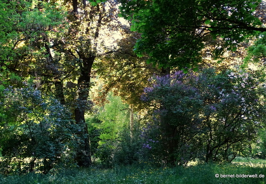 18-05-07-augsburg-wittelsbacher park-001