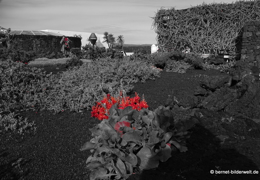 18-11-21-tahiche-fundation-cm-159