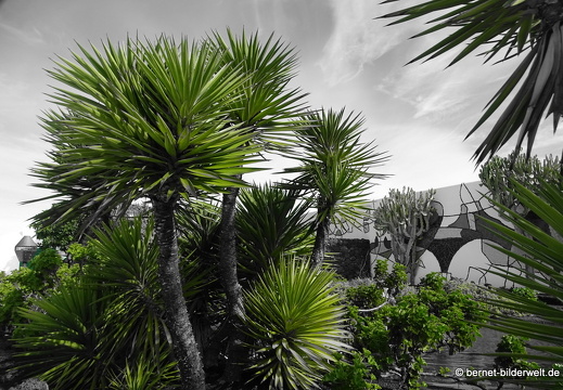 18-11-21-tahiche-fundation-cm-154