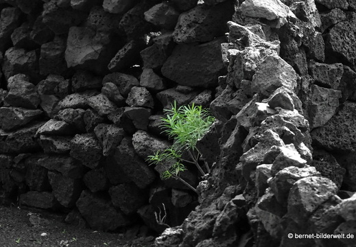 18-11-21-tahiche-fundation-cm-178