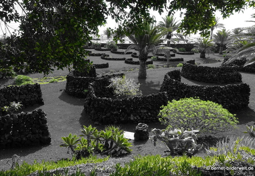 18-11-21-tahiche-fundation-cm-180