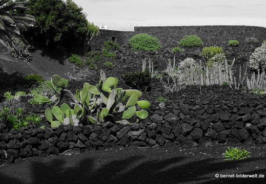 18-11-21-tahiche-fundation-cm-210