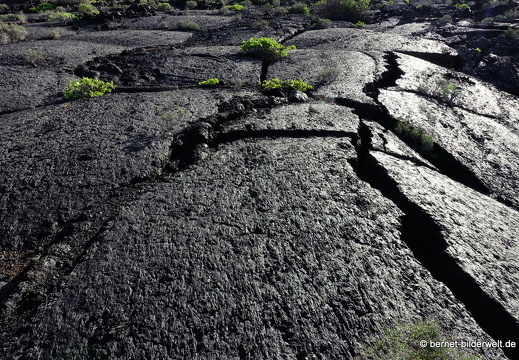 18-11-23-tahiche-100