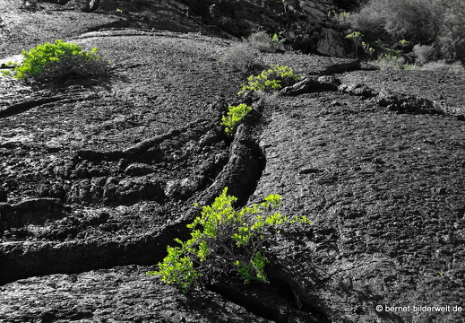 18-11-23-tahiche-101