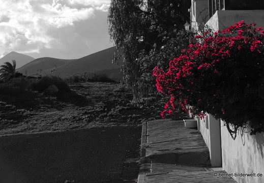 18-11-23-tahiche-122