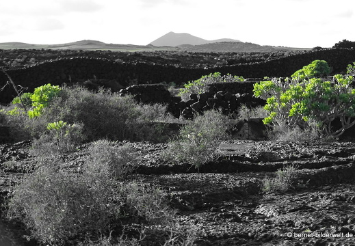 18-11-23-tahiche-135