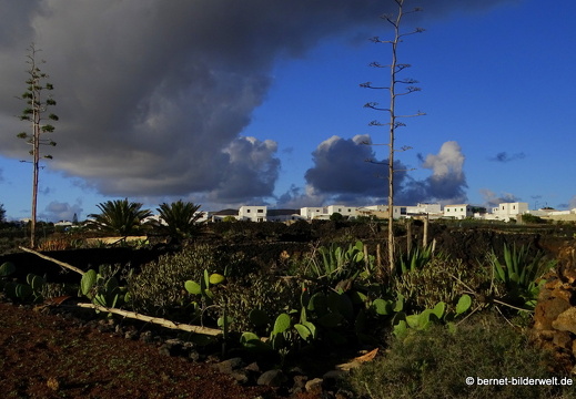 18-11-23-tahiche-148