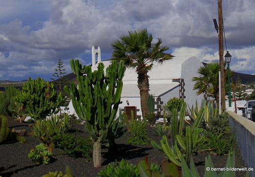 18-11-23-tahiche-privater kaktusgarten-016