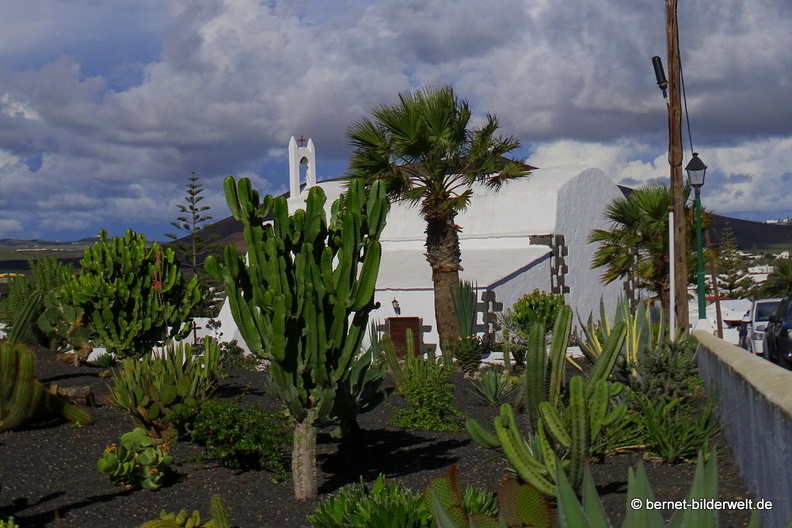 18-11-23-tahiche-privater kaktusgarten-016.JPG