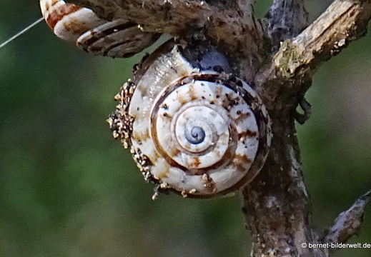 18-11-25-tahiche-umgebung-133