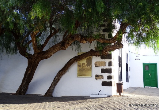 18-11-27-teguise-077