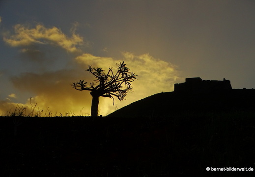 18-11-27-teguise-blick auf castillo de santa barbara-005