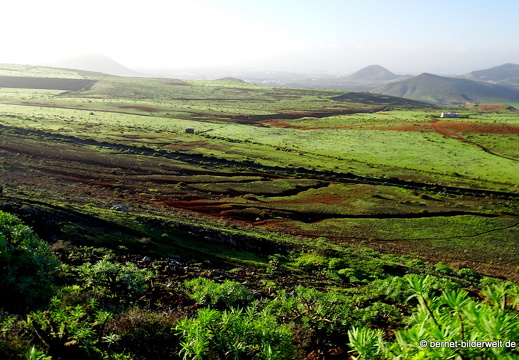18-11-28-teguise-weg zum castillo-048