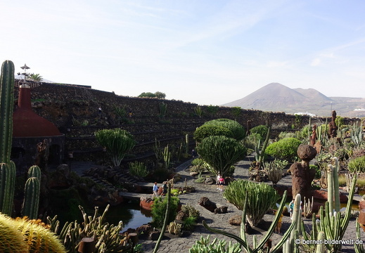 18-12-07-guatiza-kaktusgarten-107